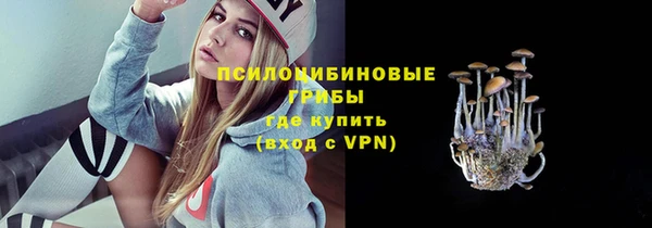 a pvp Алзамай