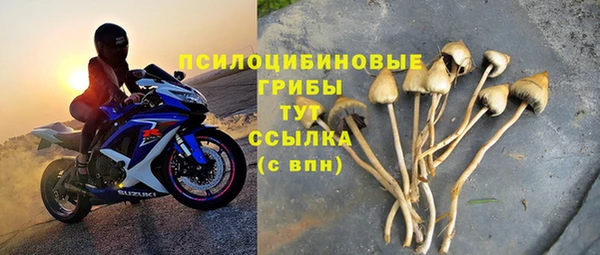 a pvp Алзамай