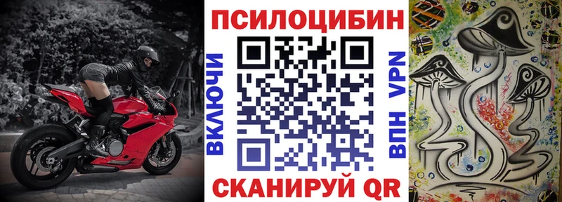 Галлюциногенные грибы Psilocybe  Сарапул 